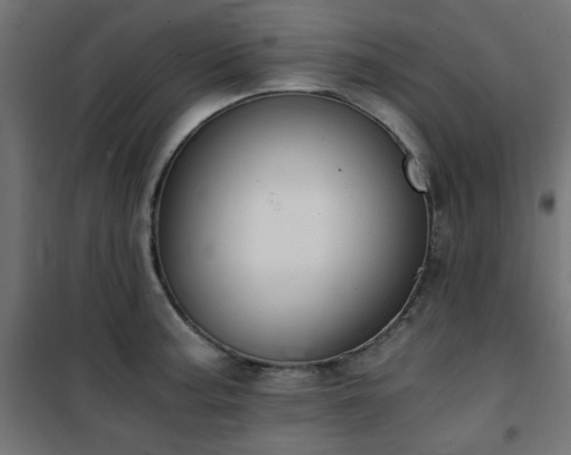 X0000101461187200807071423