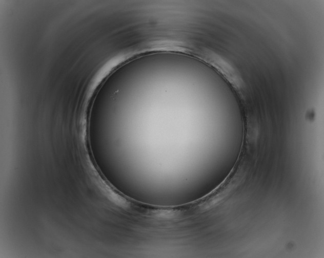 X0000101461188200807071423