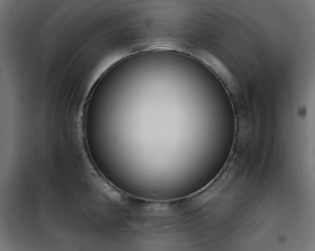 X0000101461190200807071423