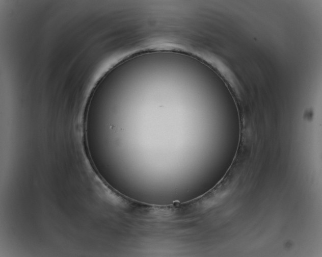 X0000101461191200807071423