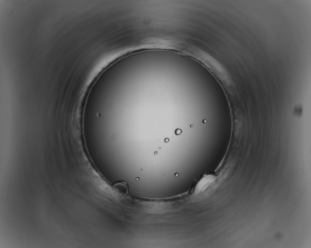 X0000101461192200807071423
