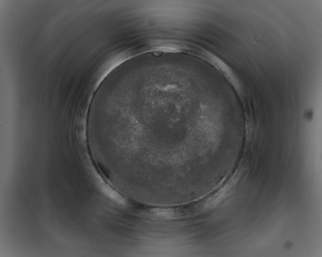 X0000101461194200807071423