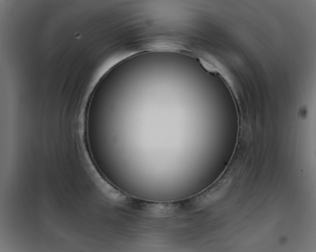 X0000101461195200807071423
