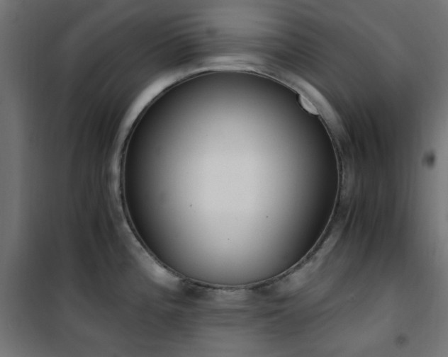 X0000101461196200807071423