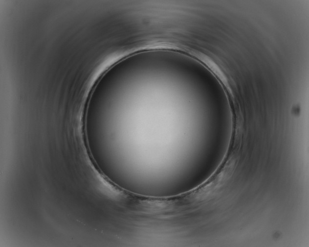 X0000101461197200807071423