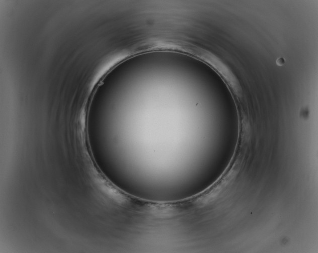 X0000101461198200807071423