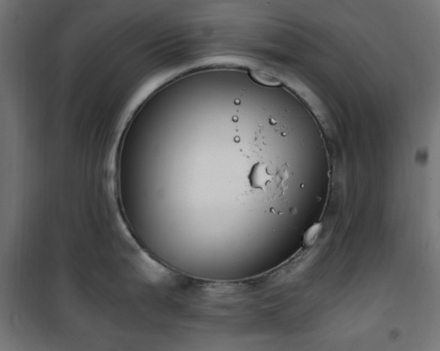 X0000101461199200807071423