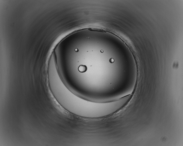 X0000101461200200807071423