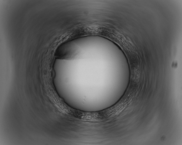 X0000101461201200807071422