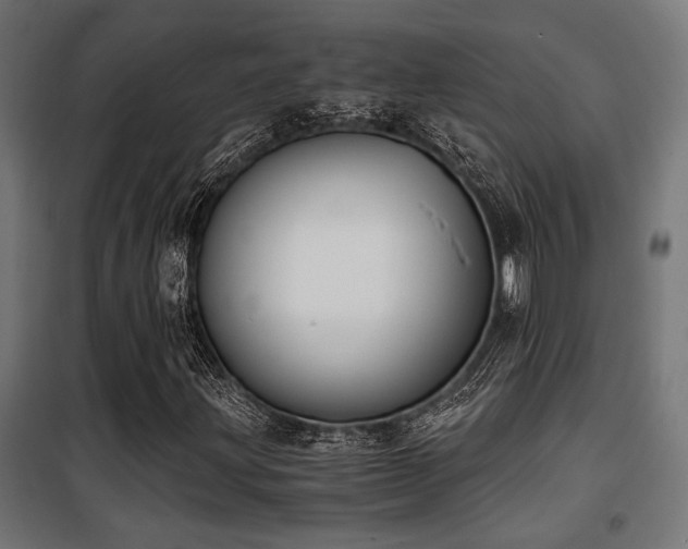X0000101461203200807071422