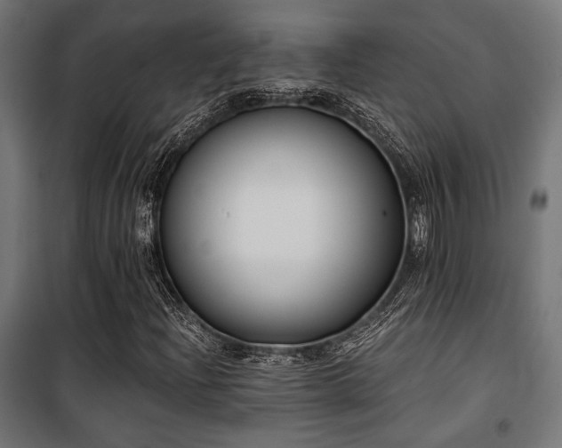 X0000101461204200807071422