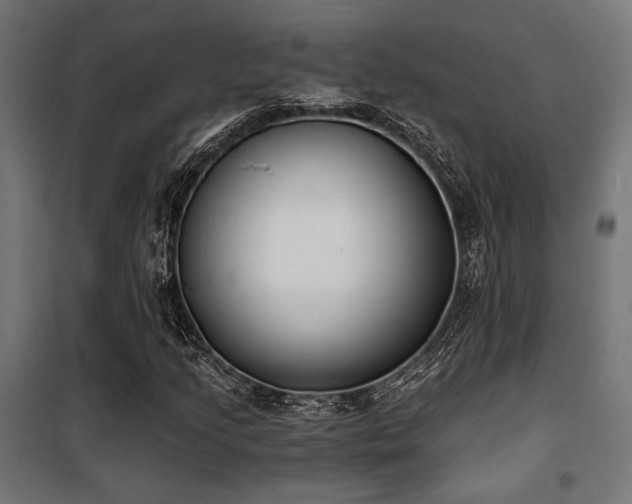 X0000101461205200807071422