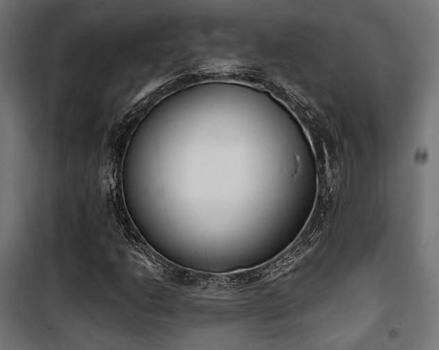 X0000101461206200807071422