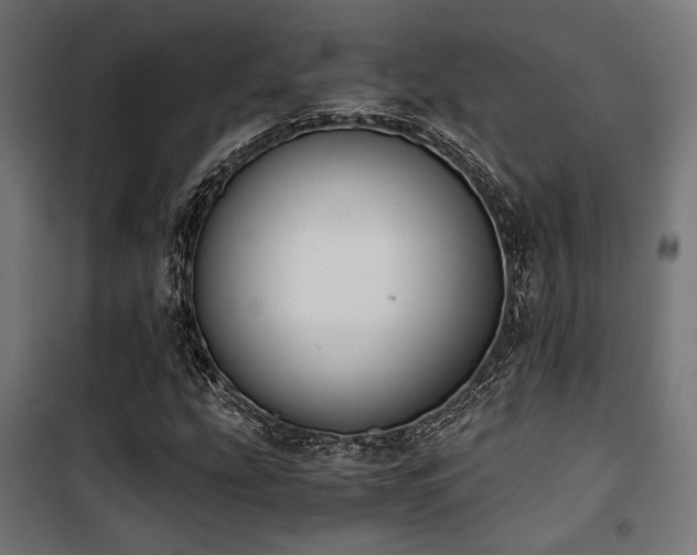 X0000101461207200807071422