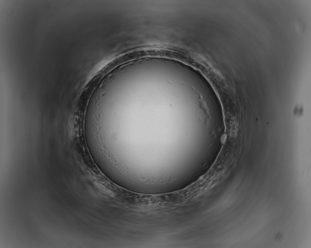 X0000101461208200807071422