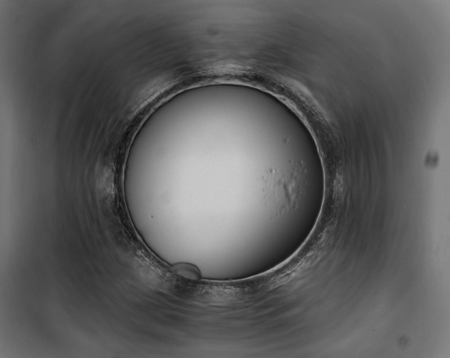 X0000101461209200807071422