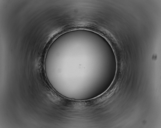 X0000101461210200807071422