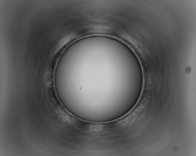 X0000101461211200807071422