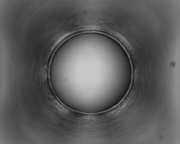 X0000101461212200807071422