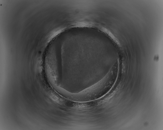 X0000101461213200807071422