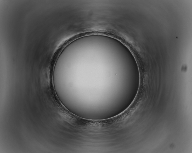 X0000101461214200807071422