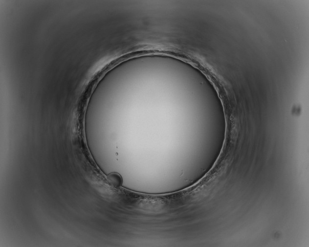 X0000101461215200807071422