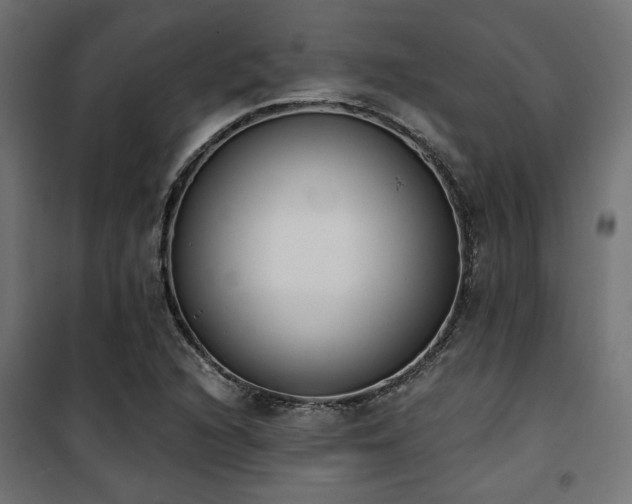 X0000101461216200807071422