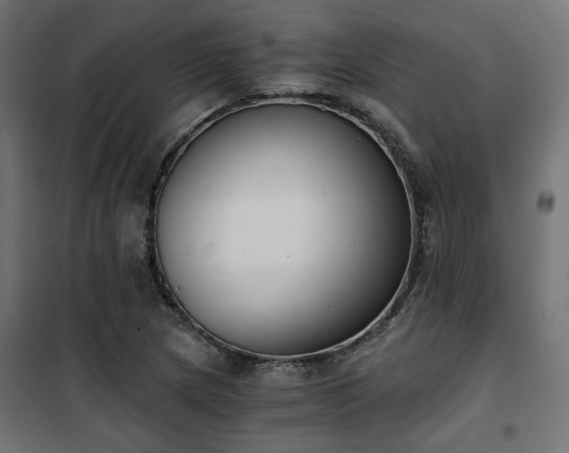 X0000101461217200807071422