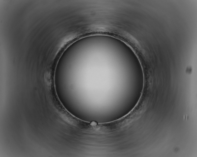 X0000101461218200807071422