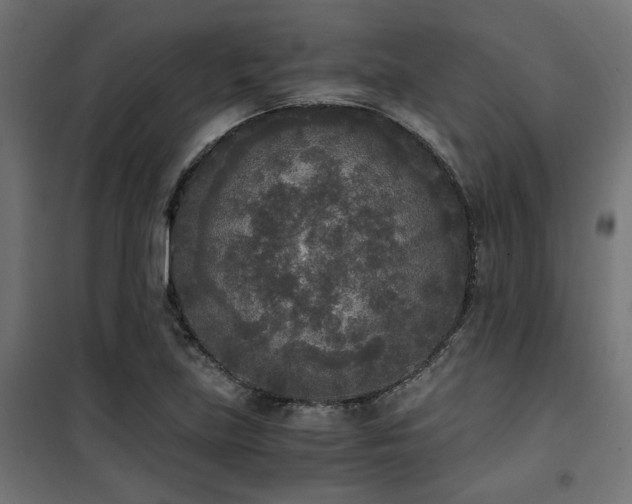 X0000101461219200807071422