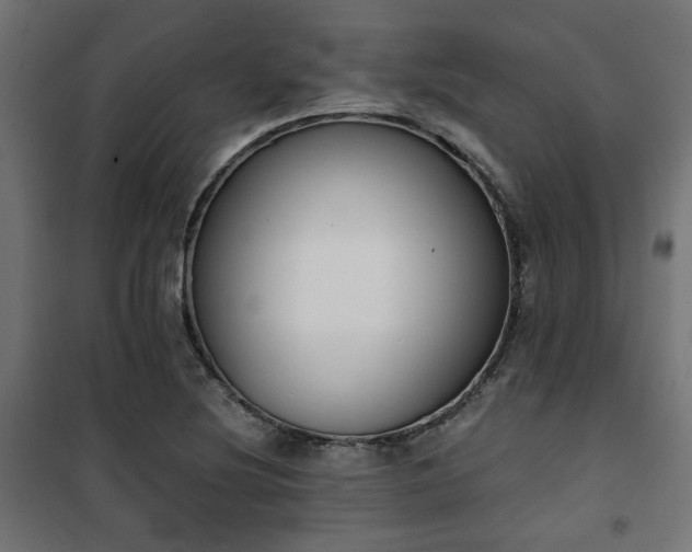 X0000101461220200807071422