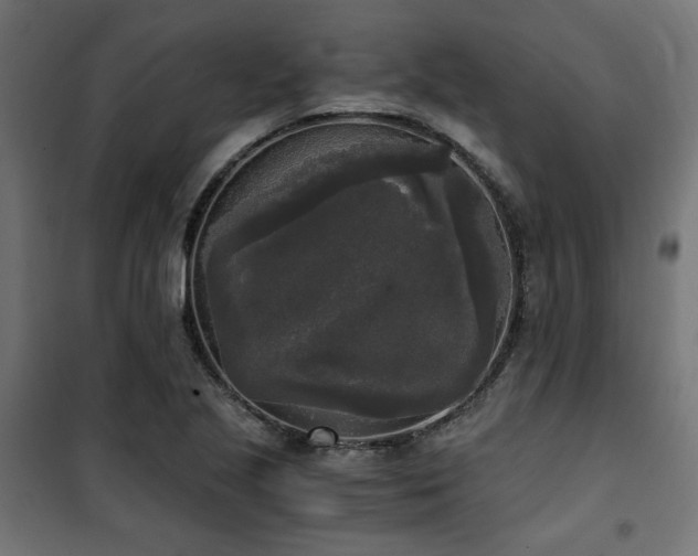 X0000101461221200807071422
