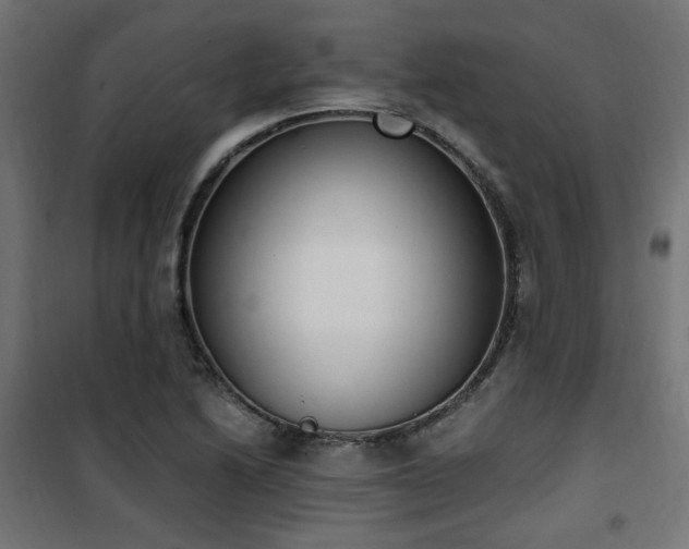 X0000101461222200807071422
