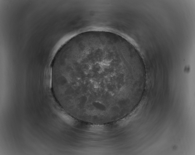 X0000101461223200807071422
