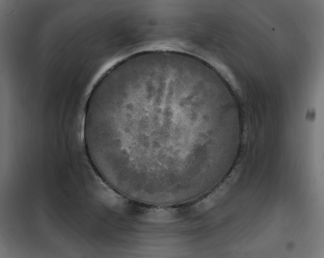 X0000101461224200807071422
