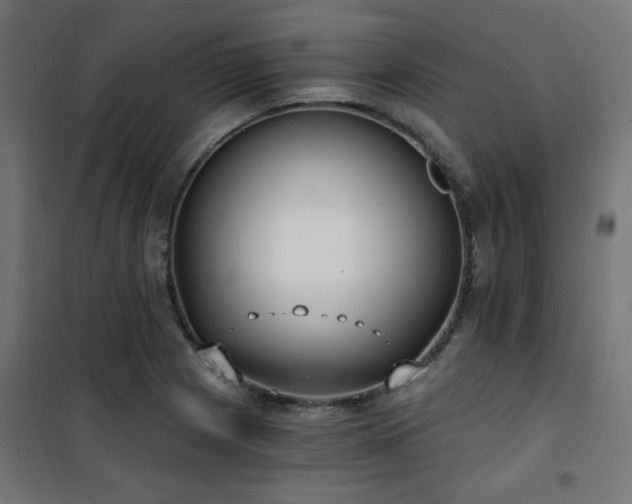 X0000101461225200807071422
