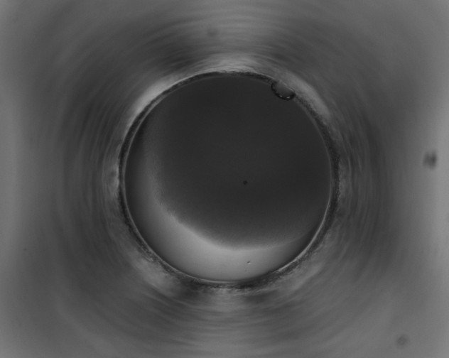 X0000101461226200807071422