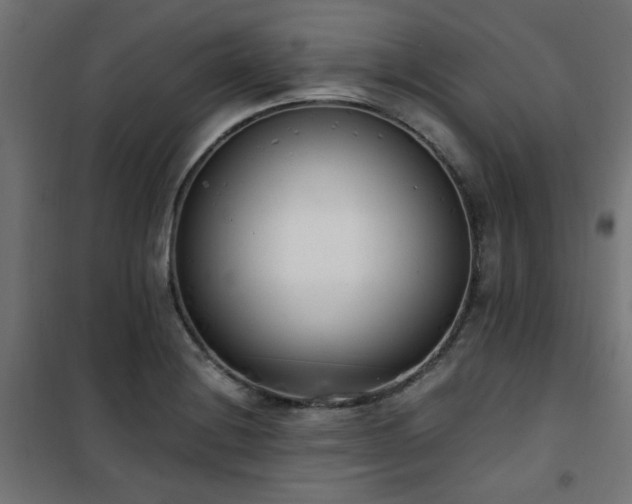 X0000101461228200807071422