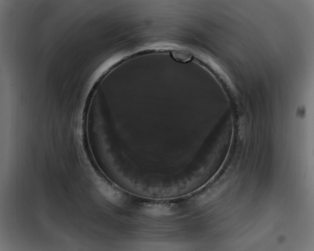 X0000101461229200807071422