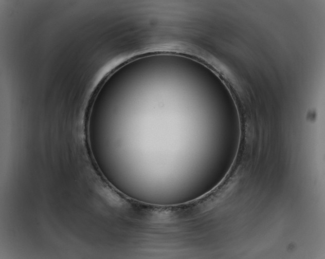 X0000101461230200807071422