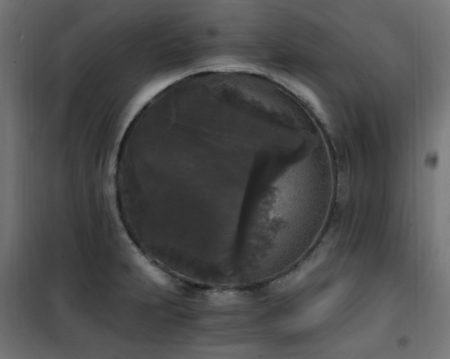 X0000101461231200807071422