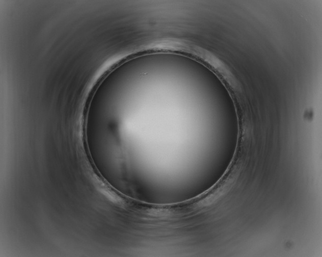 X0000101461232200807071422