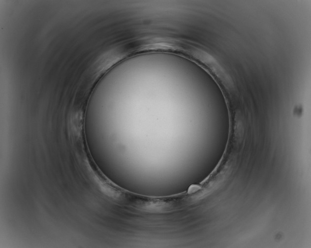 X0000101461233200807071422