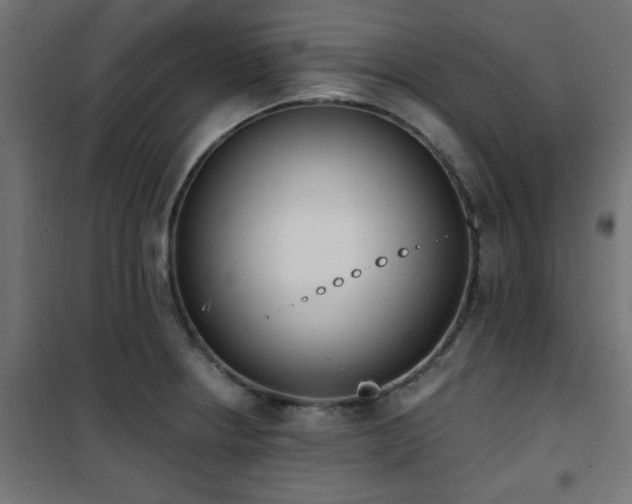X0000101461234200807071422