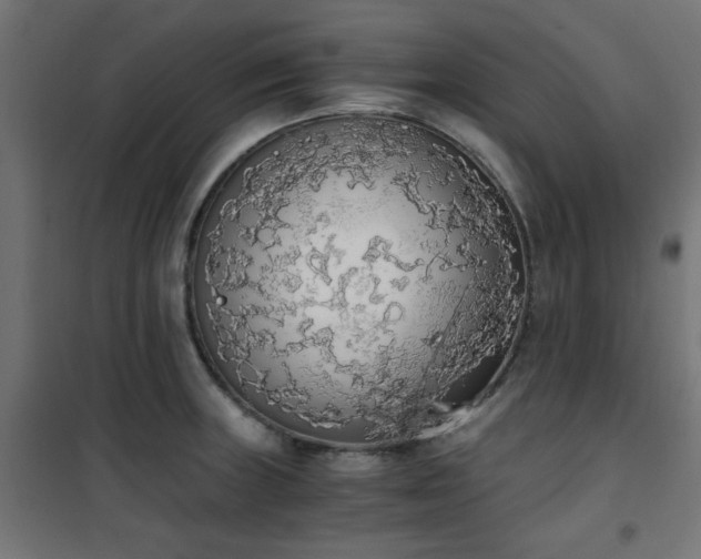 X0000101461235200807071422
