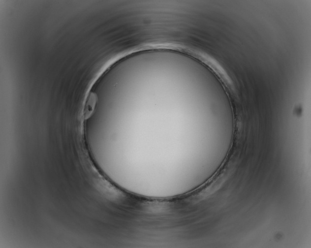 X0000101461236200807071422