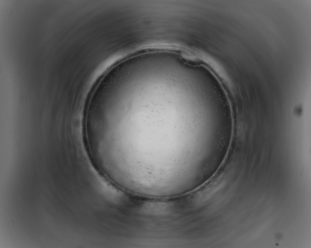 X0000101461237200807071422