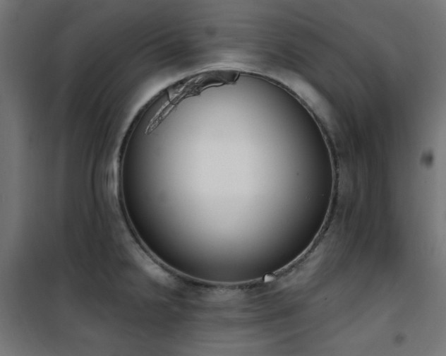 X0000101461238200807071422