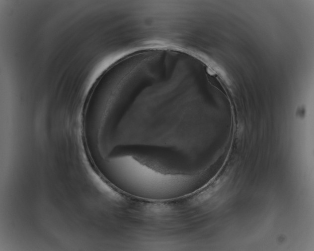 X0000101461239200807071422