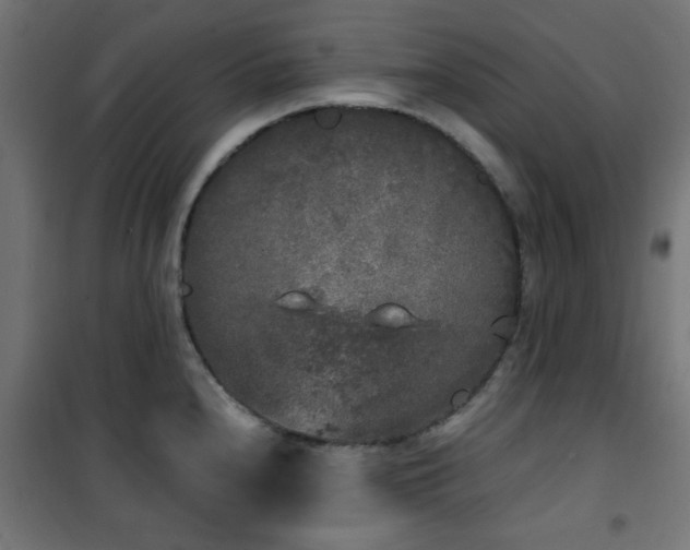 X0000101461240200807071423